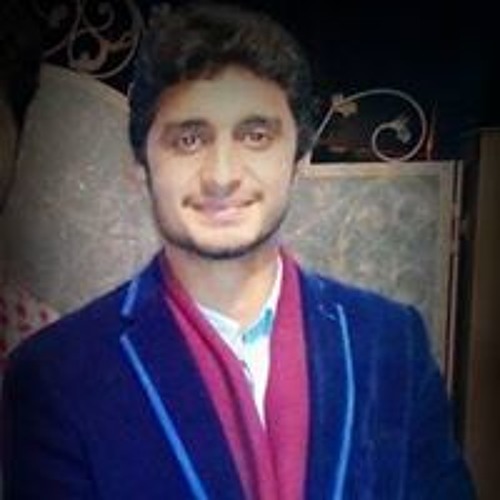 Hafiz Mahmood Hussain’s avatar