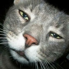 Que - OG Bobby Johnson [Remix] (prod. By Taylo)