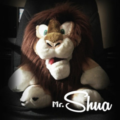 Mr. Shua