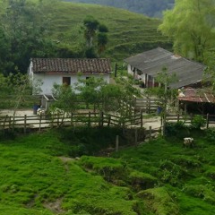 Adiela Y Raul Lopez Muñoz