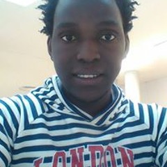 Lamin T Saidy-Vulart