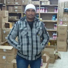 hamed