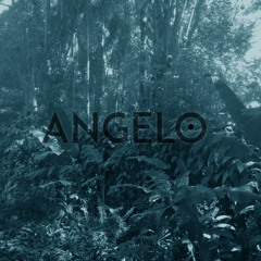 Angelo