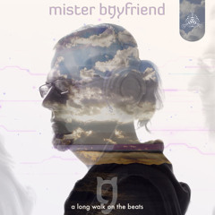 Mister Boyfriend