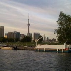 Abdiphilosopher Farah