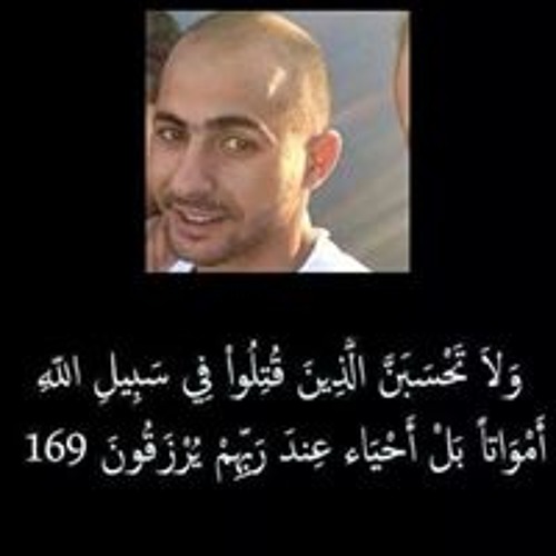 Ahmed Abdelhamed’s avatar