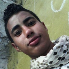 user370068696