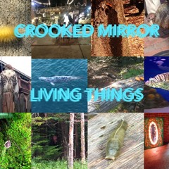 Crooked Mirror