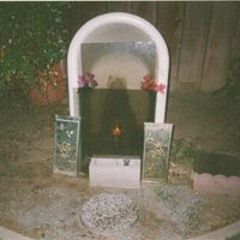 user552939150sally46