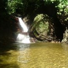 user257586130