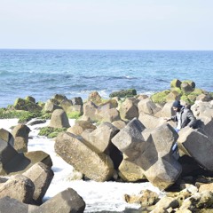 Tarek Emad Elsheikh