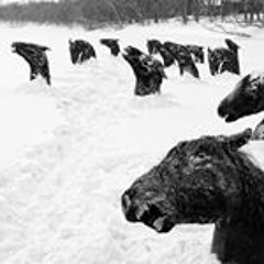 Chilly Gonzales - Knight Moves
