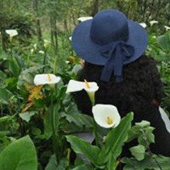 Ivonne Jacqueline García