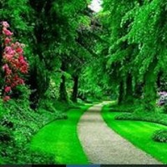 Marquisha Kash Newcombe