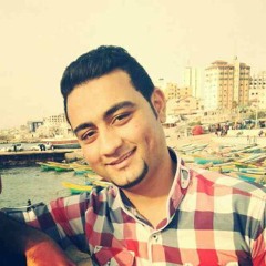 Majdi  Ismail