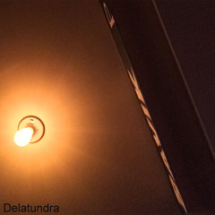 Delatundra