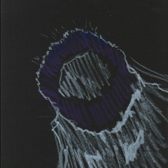 Shoot Me In The Foot