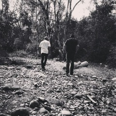 Brainwash And Destroy