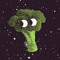 spacexbroccoli