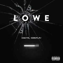 Lowelikethestore