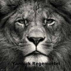 Yannick Regemortel
