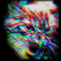 Pi_Palowski