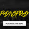 PaynSpray Music
