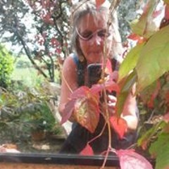 Helen Probyn-Wiliams