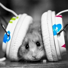 Dj Walrok