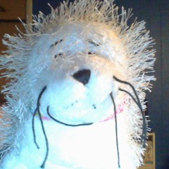 Mr. Seal