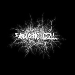Somatic Cell