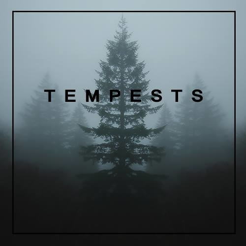 Tempests’s avatar