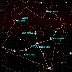Dark Cygnus