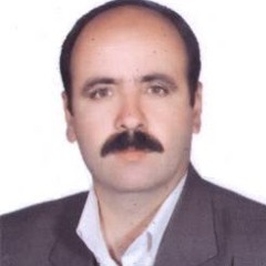 Ali Javidi