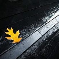 Hoorain Ali