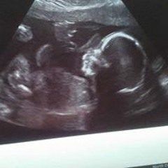 Gina Gibbons Falconer