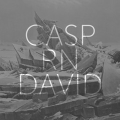 CASPRNDAVID