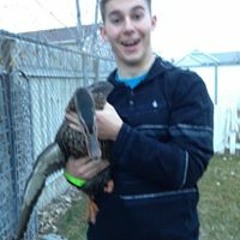 Austin Wilcox