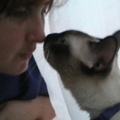 Liza A. VanderHaagen