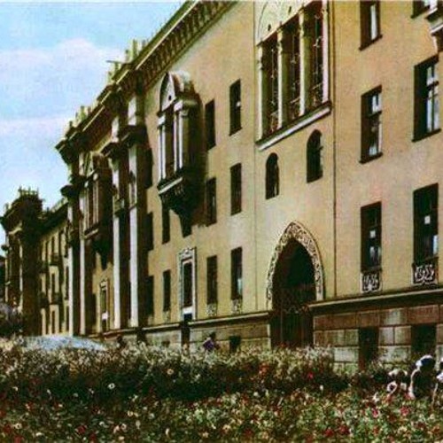 Арай - Аруана