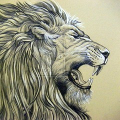 singhsidhu