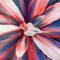 In Case You Missed It