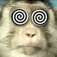 Het Apelazerus HipHop(NL)