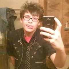 Taylor Falling Friedlund