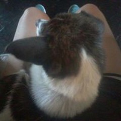 Melina Daniela Vigliotta