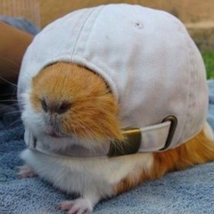 freqhop