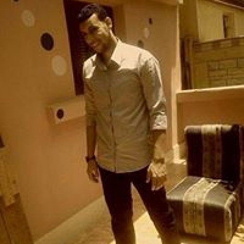 Ahmed Elbastawesy’s avatar