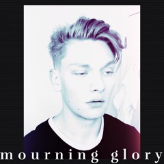 mourning glory