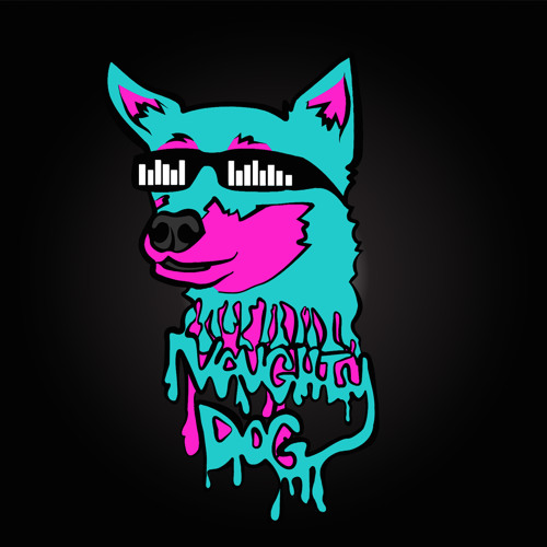 Naughty Dog’s avatar