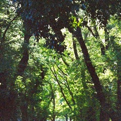 MB&The Electron Orchestra